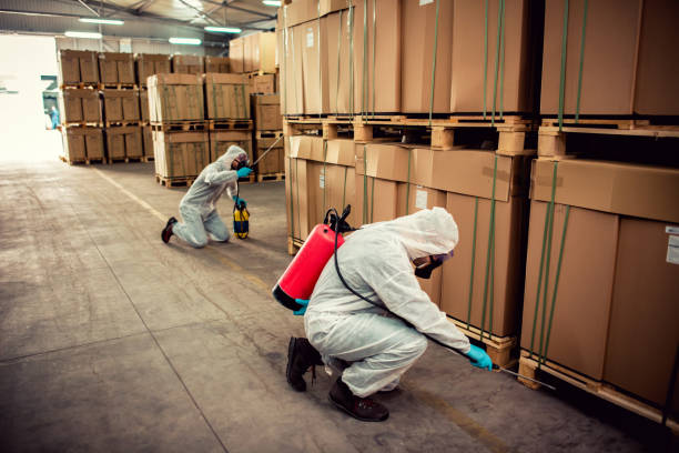 Best Termite Control Services  in Sugarland Run, VA