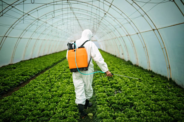 Best Best Pest Control Companies  in Sugarland Run, VA