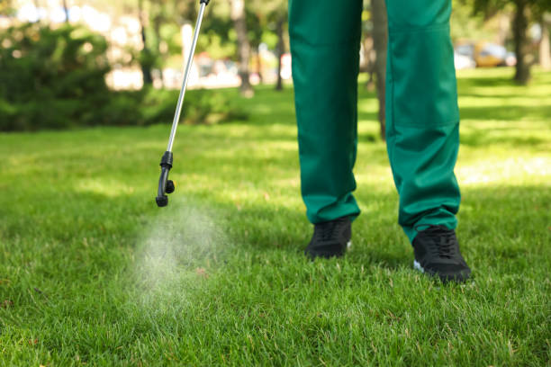 Best Affordable Pest Control Services  in Sugarland Run, VA
