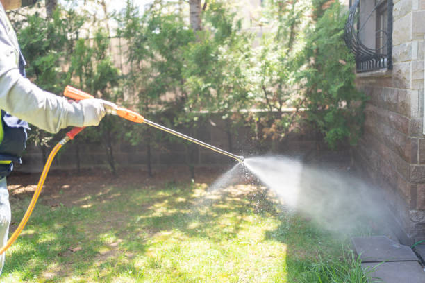 Best Rodent Control Near Me  in Sugarland Run, VA