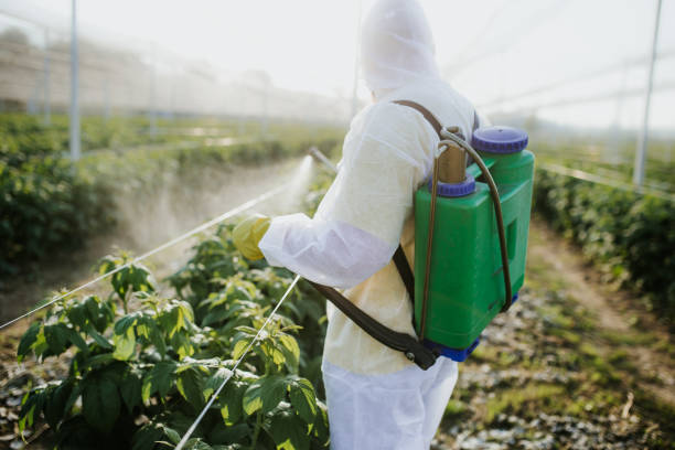 Best Pest Prevention Services  in Sugarland Run, VA